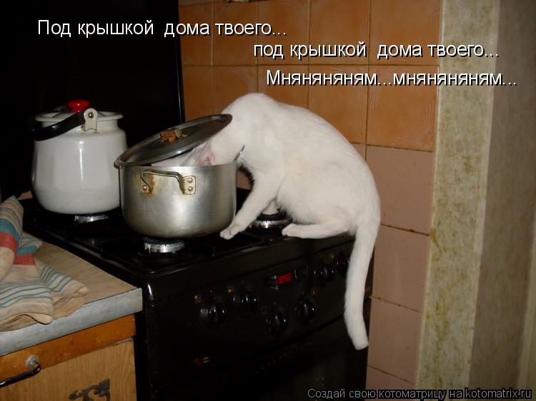 Котоматрица: Под крышкой  дома твоего... под крышкой  дома твоего... Мняняняням...мняняняням...