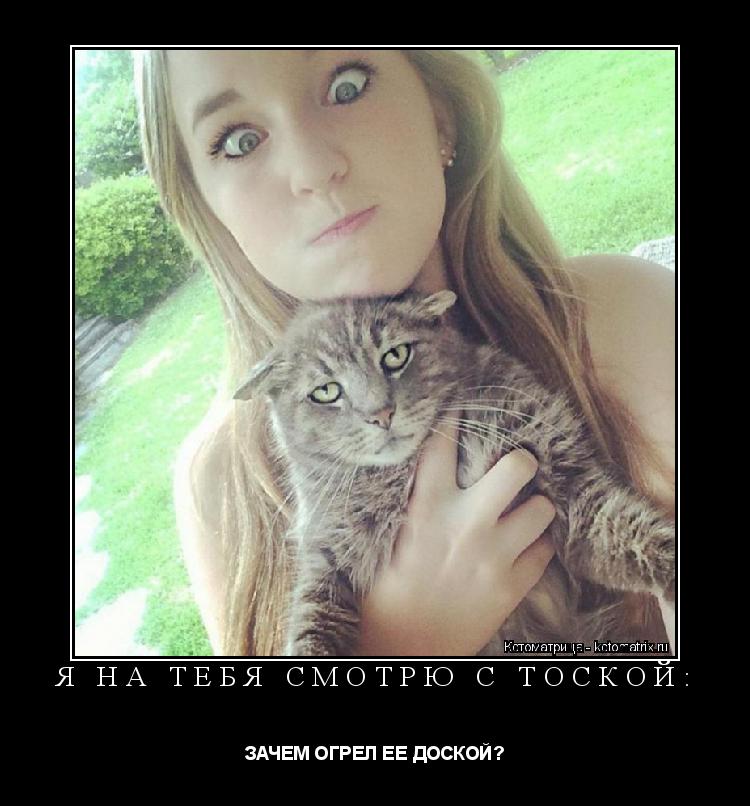 Я НА ТЕБЯ СМОТРЮ С ТОСКОЙ: ЗАЧЕМ ОГРЕЛ ЕЕ ДОСКОЙ?... Котоматрица: Я НА ТЕБЯ СМОТРЮ С ТОСКОЙ: ЗАЧЕМ ОГРЕЛ ЕЕ ДОСКОЙ?