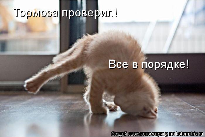 Тормоза проверил! Все в порядке!... Котоматрица: Тормоза проверил! Все в порядке!