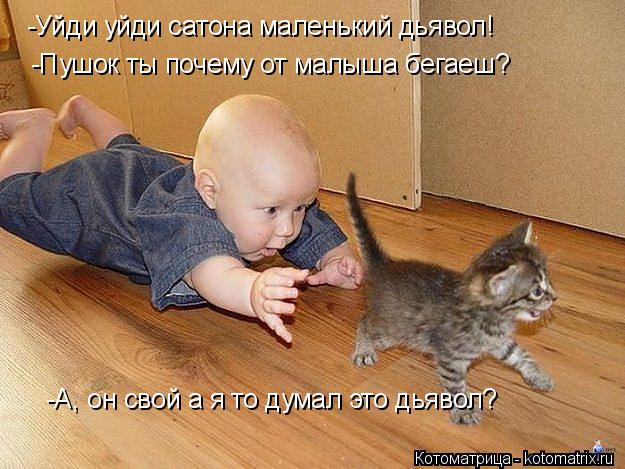 -Уйди уйди сатона маленький дьявол! -Пушок ты почему от малыша бегаеш? -А, он свой а я то думал это д... Котоматрица: -Уйди уйди сатона маленький дьявол! -Пушок ты почему от малыша бегаеш? -А, он свой а я то думал это дьявол?