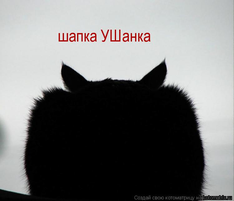 шапка УШанка... Котоматрица: шапка УШанка