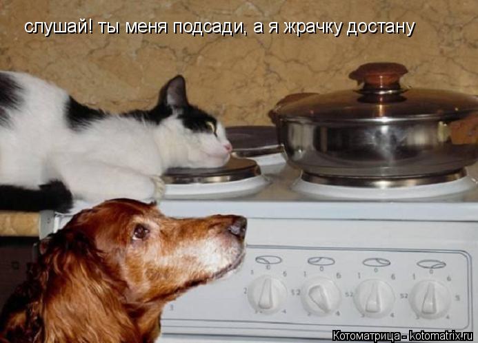 слушай! ты меня подсади, а я жрачку достану... Котоматрица: слушай! ты меня подсади, а я жрачку достану