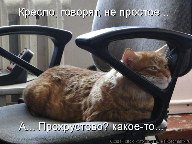 Кресло, говорят, не простое... А... Прохрустово? какое-то...... Котоматрица: Кресло, говорят, не простое... А... Прохрустово? какое-то...