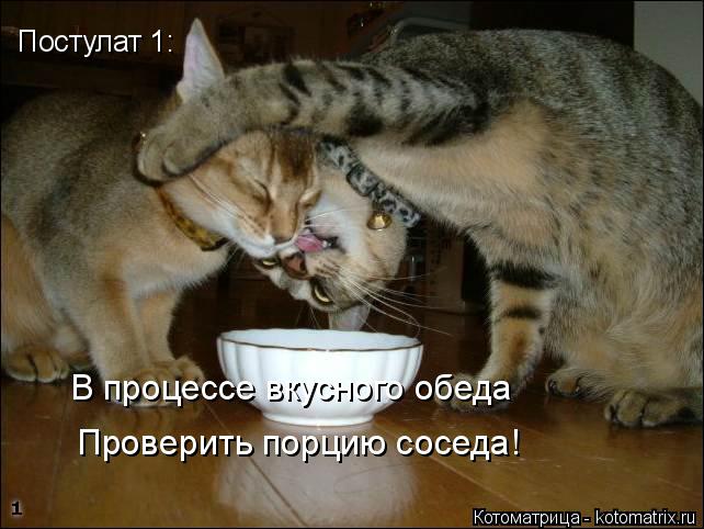 Постулат 1 Постулат 1: В процессе вкусного обеда Проверить порцию соседа!... Котоматрица: Постулат 1 Постулат 1: В процессе вкусного обеда Проверить порцию соседа!