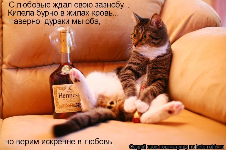 Котоматрица: С любовью ждал свою зазнобу... Кипела бурно в жилах кровь... Наверно, дураки мы оба,  но верим искренне в любовь...