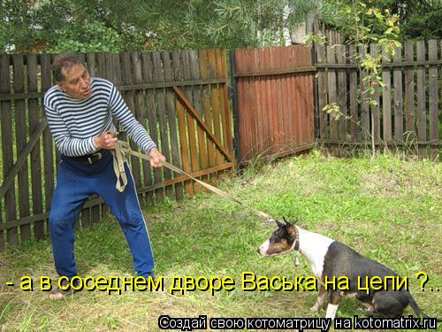 Котоматрица: - а в соседнем дворе Васька на цепи ?..