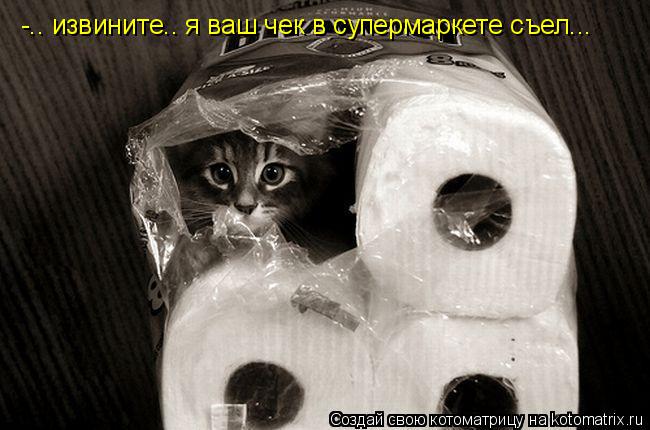 Котоматрица: -.. извините.. я ваш чек в супермаркете съел...