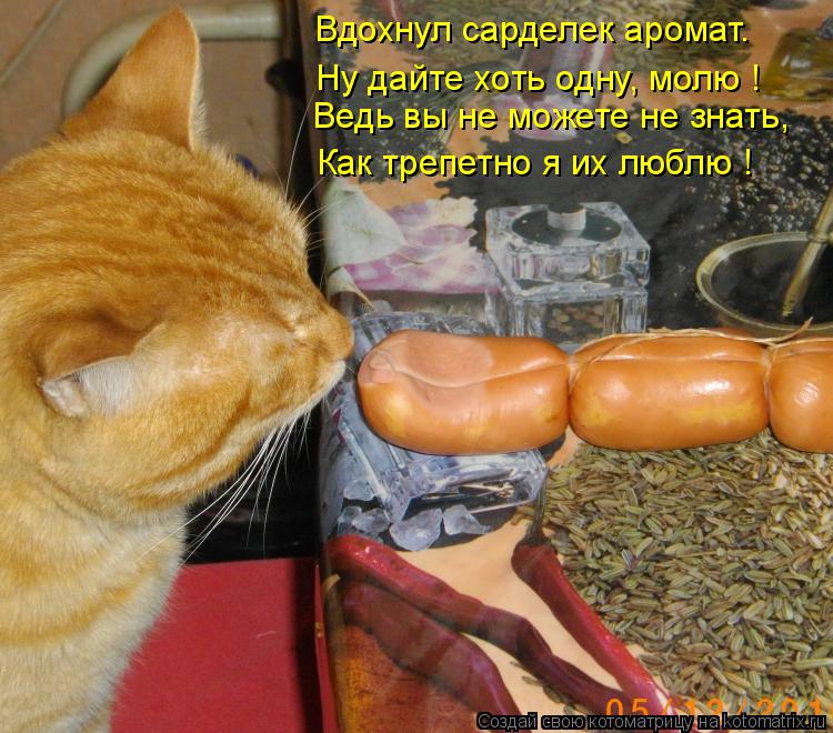 Ведь вы не можете не знать, Вдохнул сарделек аромат. Ну дайте хоть одну, молю ! Как трепетно я их люб... Котоматрица: Ведь вы не можете не знать, Вдохнул сарделек аромат. Ну дайте хоть одну, молю ! Как трепетно я их люблю !