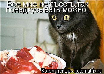 Все мне не съесть,так понадкусывать можно...... Котоматрица: Все мне не съесть,так понадкусывать можно...