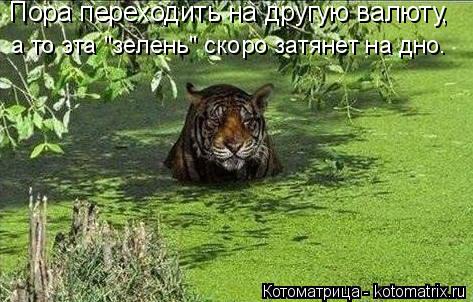 Пора переходить на другую валюту, а то эта "зелень" скоро затянет на дно.... Котоматрица: Пора переходить на другую валюту, а то эта "зелень" скоро затянет на дно.