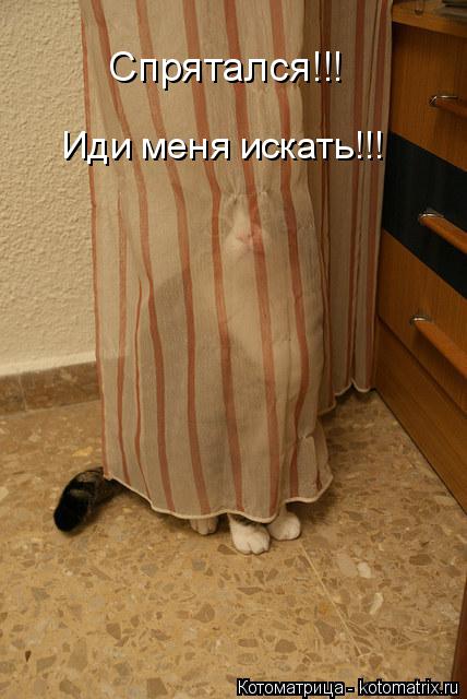 Спрятался!!! Иди меня искать!!!... Котоматрица: Спрятался!!! Иди меня искать!!!