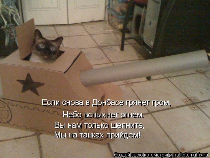 Небо вспыхнет огнем. Вы нам только шепните, Мы на танках прийдем! Если снова в Донбасе грянет гром,... Котоматрица: Небо вспыхнет огнем. Вы нам только шепните, Мы на танках прийдем! Если снова в Донбасе грянет гром,
