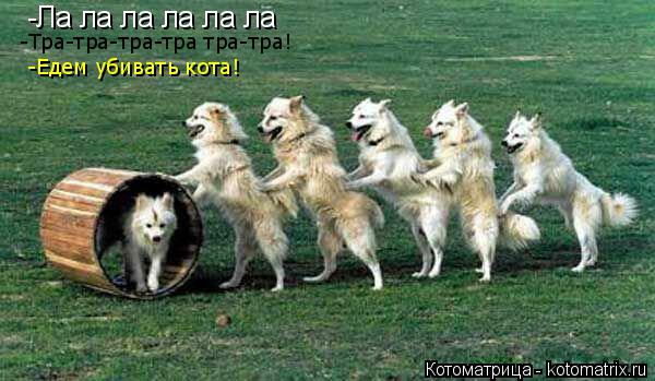 -Ла ла ла ла ла ла -Едем убивать кота! -Тра-тра-тра-тра тра-тра!... Котоматрица: -Ла ла ла ла ла ла -Едем убивать кота! -Тра-тра-тра-тра тра-тра!