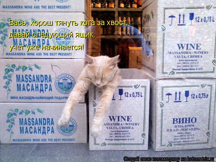 Вась, хорош тянуть кота за хвост, давай следующий ящик, учет уже начинается!... Котоматрица: Вась, хорош тянуть кота за хвост, давай следующий ящик, учет уже начинается!