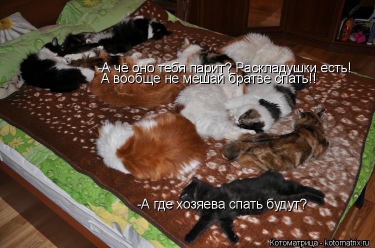 -А где хозяева спать будут? -А чё оно тебя парит? Раскладушки есть! А вообще не мешай братве спать!!... Котоматрица: -А где хозяева спать будут? -А чё оно тебя парит? Раскладушки есть! А вообще не мешай братве спать!!