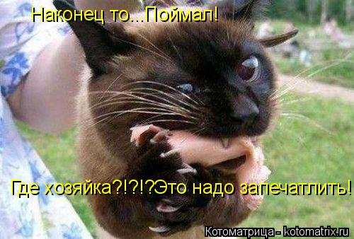 Наконец то...Поймал! Где хозяйка?!?!?Это надо запечатлить!!!... Котоматрица: Наконец то...Поймал! Где хозяйка?!?!?Это надо запечатлить!!!