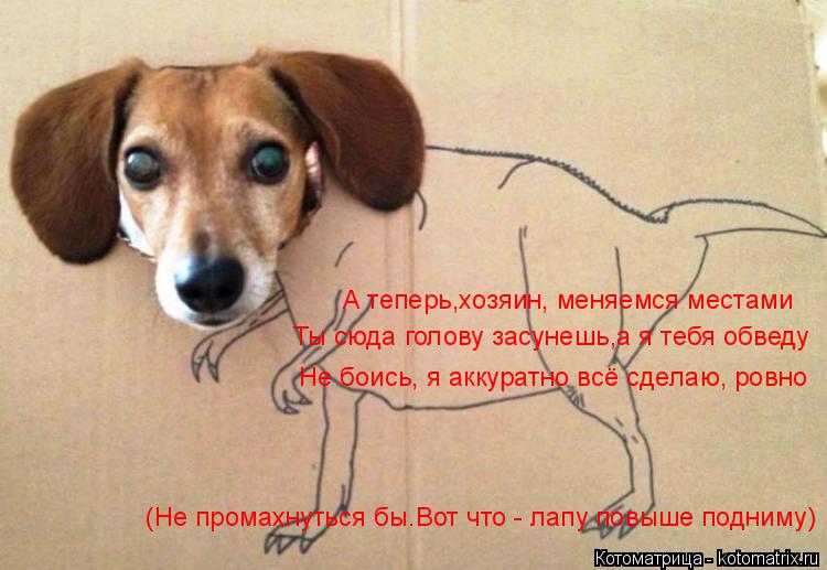 А теперь,хозяин, меняемся местами Ты сюда голову засунешь,а я тебя обведу Не боись, я аккуратно всё с... Котоматрица: А теперь,хозяин, меняемся местами Ты сюда голову засунешь,а я тебя обведу Не боись, я аккуратно всё сделаю, ровно (Не промахнуться бы.Вот что