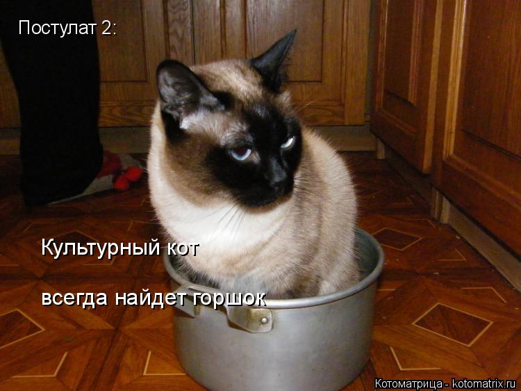 Постулат 2: Культурный кот всегда найдет горшок... Котоматрица: Постулат 2: Культурный кот всегда найдет горшок