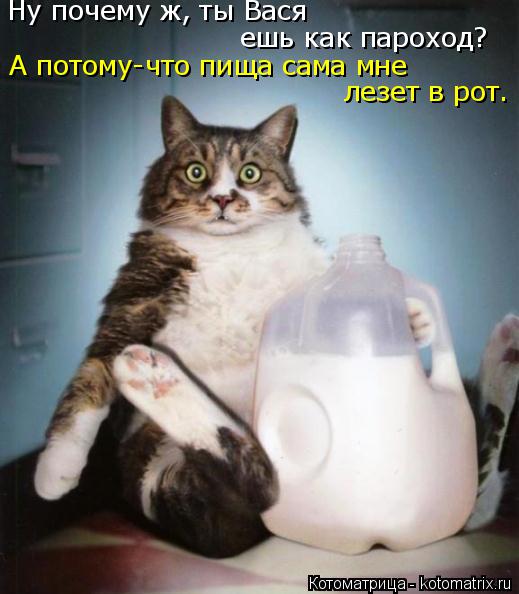 Ну почему ж, ты Вася ешь как пароход? А потому-что пища сама мне лезет в рот.... Котоматрица: Ну почему ж, ты Вася ешь как пароход? А потому-что пища сама мне лезет в рот.