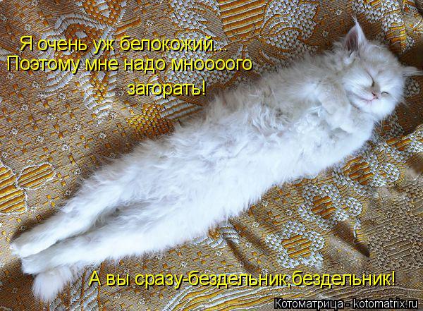 Я очень уж белокожий... Поэтому мне надо мноооого загорать! А вы сразу-бездельник,бездельник! А... Котоматрица: Я очень уж белокожий... Поэтому мне надо мноооого загорать! А вы сразу-бездельник,бездельник! А