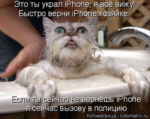 Это ты украл iPhone, я всё вижу! Быстро верни iPhone хозяйке Если ты сейчас не вернёшь iPhone я сейча... Котоматрица: Это ты украл iPhone, я всё вижу! Быстро верни iPhone хозяйке Если ты сейчас не вернёшь iPhone я сейчас вызову в полицию