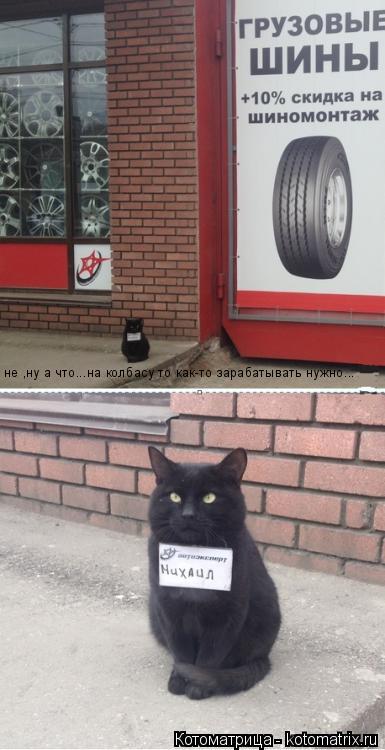 Котоматрица: не ,ну а что...на колбасу то как-то зарабатывать нужно...