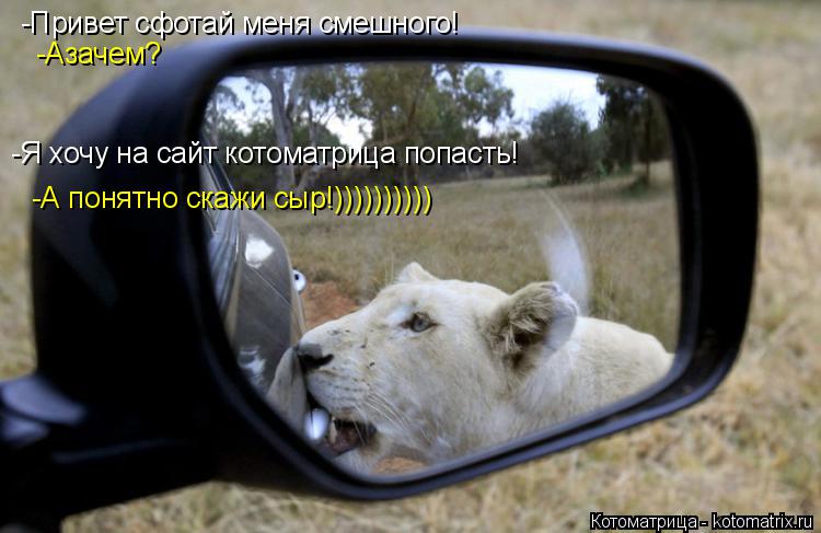 -Привет сфотай меня смешного! -Азачем? -Я хочу на сайт котоматрица попасть! -А понятно скажи сыр!))))... Котоматрица: -Привет сфотай меня смешного! -Азачем? -Я хочу на сайт котоматрица попасть! -А понятно скажи сыр!))))))))))