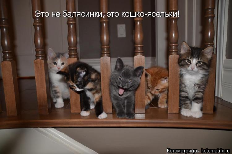 :   ,  -!