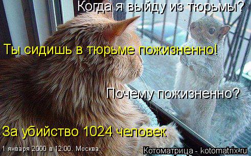 Когда я выйду из тюрьмы? Ты сидишь в тюрьме пожизненно! Почему пожизненно? За убийство 1024 человек 1... Котоматрица: Когда я выйду из тюрьмы? Ты сидишь в тюрьме пожизненно! Почему пожизненно? За убийство 1024 человек 1 января 2000 в 12:00. Москва