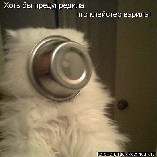 Хоть бы предупредила, что клейстер варила!... Котоматрица: Хоть бы предупредила, что клейстер варила!