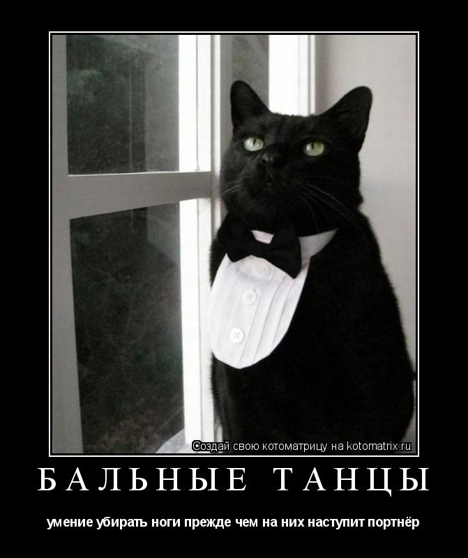 БАЛЬНЫЕ ТАНЦЫ умение убирать ноги прежде чем на них наступит портнёр... Котоматрица: БАЛЬНЫЕ ТАНЦЫ умение убирать ноги прежде чем на них наступит портнёр