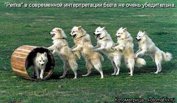 "Репка" в современной интерпретации была не очень убедительна.... Котоматрица: "Репка" в современной интерпретации была не очень убедительна.