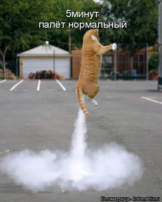 5минут палёт нормальный... Котоматрица: 5минут палёт нормальный