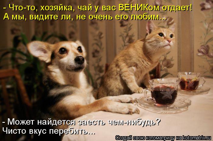 : - -, ,     !  ,  ,    ... -    -?   ...