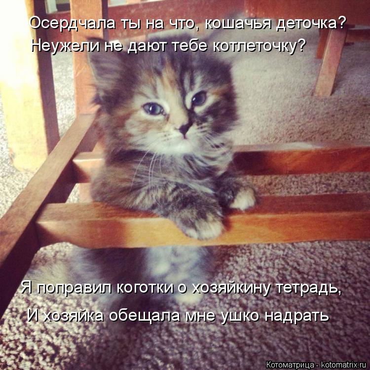 Осердчала ты на что, кошачья деточка? Неужели не дают тебе котлеточку? Я поправил коготки о хозяйкину... Котоматрица: Осердчала ты на что, кошачья деточка? Неужели не дают тебе котлеточку? Я поправил коготки о хозяйкину тетрадь, И хозяйка обещала мне ушко на