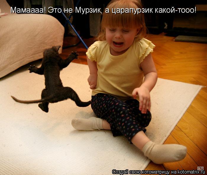 Мамаааа! Это не Мурзик, а царапурзик какой-тооо!... Котоматрица: Мамаааа! Это не Мурзик, а царапурзик какой-тооо!