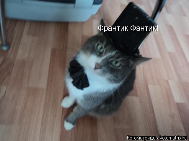 Франтик Фантик!... Котоматрица: Франтик Фантик!