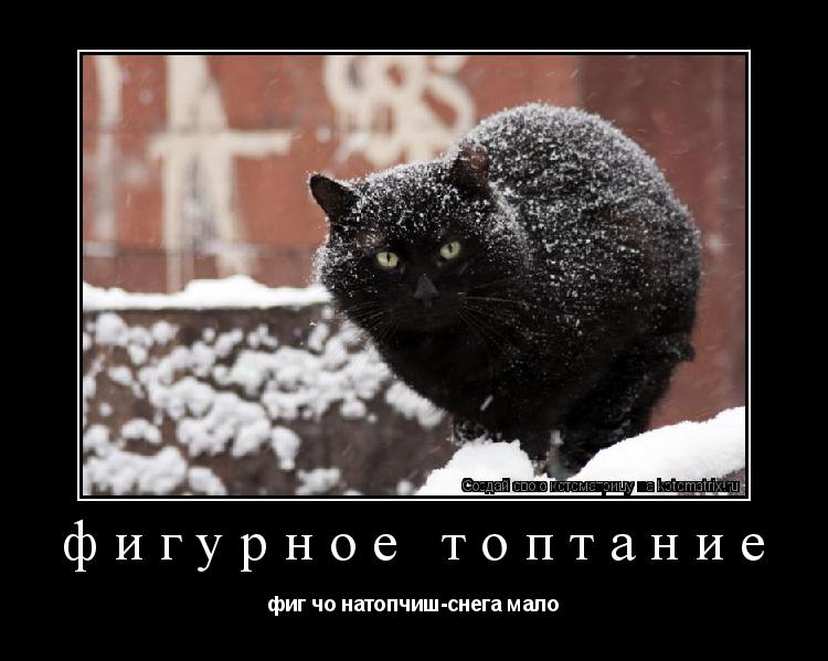 фигурное топтание фиг чо натопчиш-снега мало... Котоматрица: фигурное топтание фиг чо натопчиш-снега мало