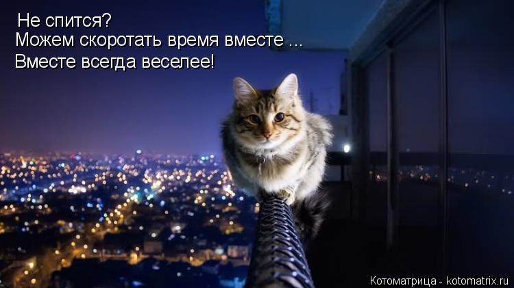 Котоматрица: Не спится? Можем скоротать время вместе ... Вместе всегда веселее!