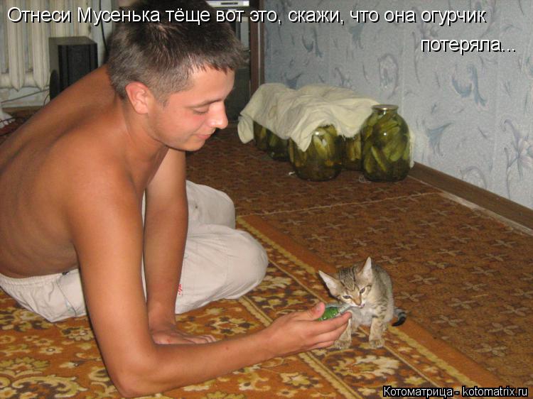 Котоматрица: Отнеси Мусенька тёще вот это, скажи, что она огурчик  потеряла...