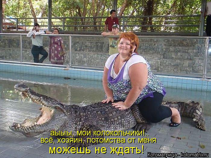 аыыы, мои колокольчики!.. всё, хозяин, потомства от меня можешь не ждать!... Котоматрица: аыыы, мои колокольчики!.. всё, хозяин, потомства от меня можешь не ждать!