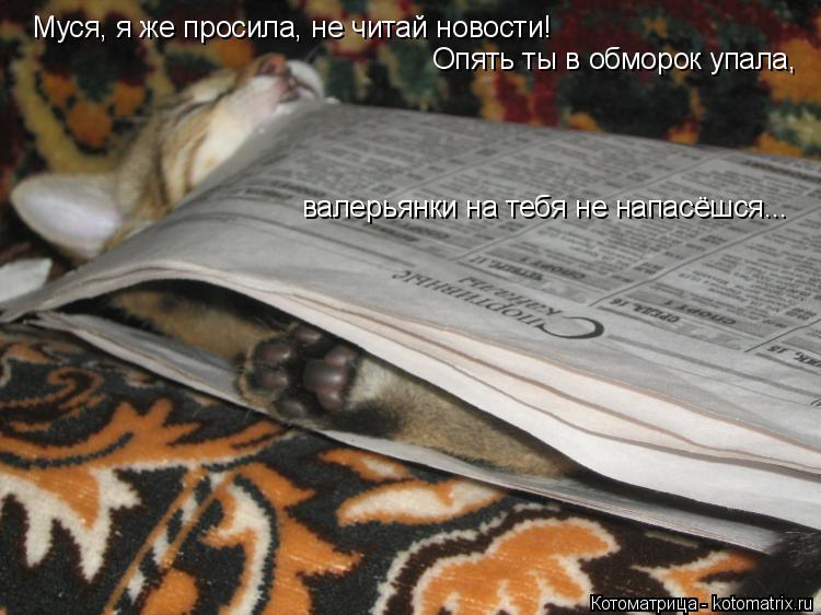 Котоматрица: Муся, я же просила, не читай новости! Опять ты в обморок упала,  валерьянки на тебя не напасёшся...
