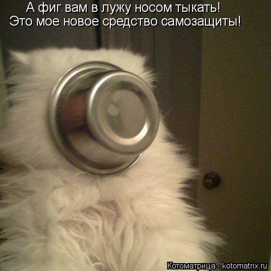 А фиг вам в лужу носом тыкать! Это мое новое средство самозащиты!... Котоматрица: А фиг вам в лужу носом тыкать! Это мое новое средство самозащиты!