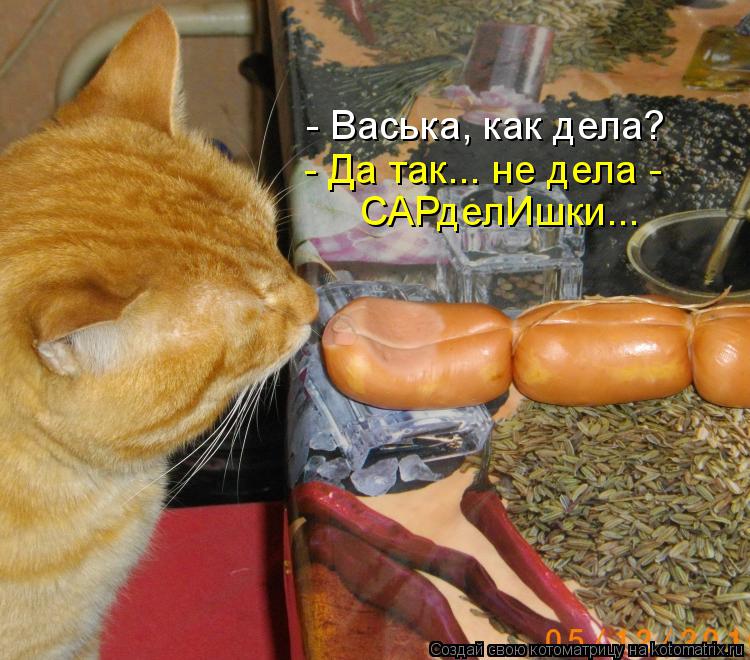 Котоматрица: - Васька, как дела? - Да так... не дела -  САРделИшки...