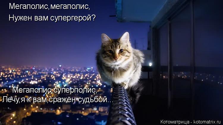 Котоматрица: Мегаполис,мегаполис, Нужен вам супергерой? Мегаполис,суперполис, Лечу,я к вам,сражён судьбой...