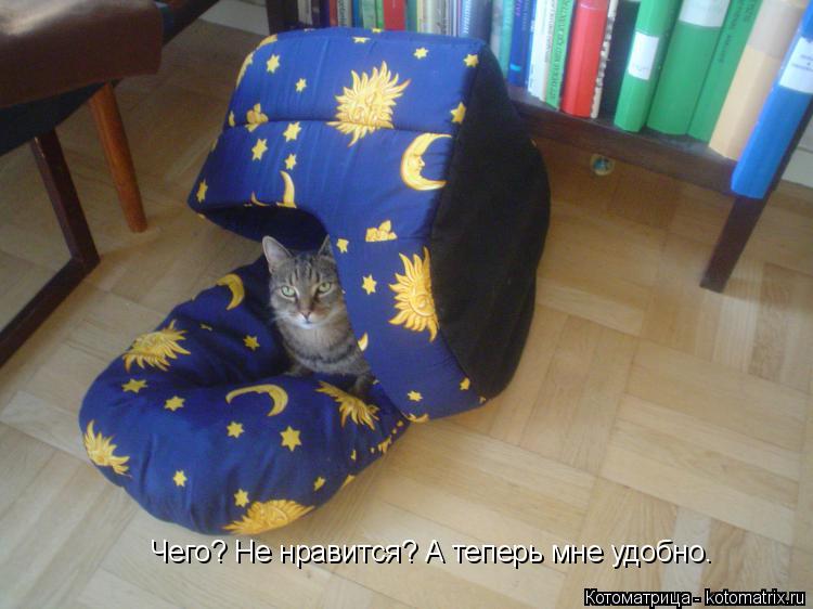 Чего? Не нравится? А теперь мне удобно.... Котоматрица: Чего? Не нравится? А теперь мне удобно.