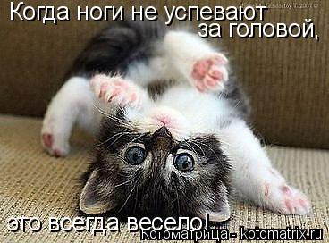 Когда ноги не успевают за головой, это всегда весело!... Котоматрица: Когда ноги не успевают за головой, это всегда весело!
