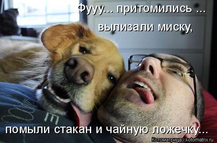 Фууу... притомились ... вылизали миску, помыли стакан и чайную ложечку...... Котоматрица: Фууу... притомились ... вылизали миску, помыли стакан и чайную ложечку...