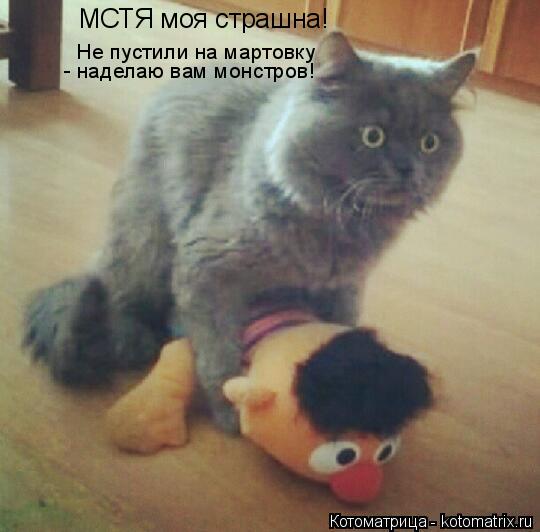 МСТЯ моя страшна! Не пустили на мартовку - наделаю вам монстров!... Котоматрица: МСТЯ моя страшна! Не пустили на мартовку - наделаю вам монстров!