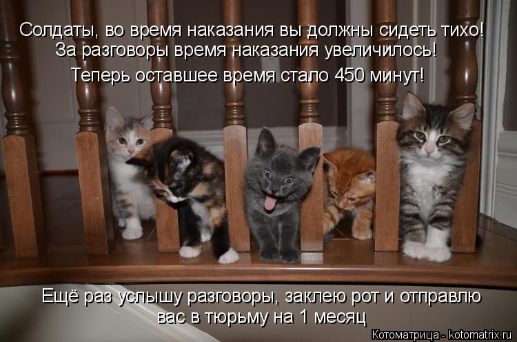 Солдаты, во время наказания вы должны сидеть тихо! За разговоры время наказания увеличилось! Теперь о... Котоматрица: Солдаты, во время наказания вы должны сидеть тихо! За разговоры время наказания увеличилось! Теперь оставшее время стало 450 минут! Ещё раз у